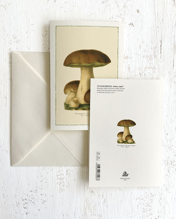 Carte "FUNGHI PORCINI - Boletus edulis"