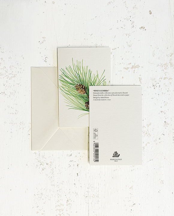Card "Pinus Cembra"