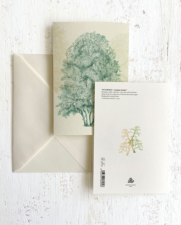 Card "ECO BOSCO - Carpinus betulus"