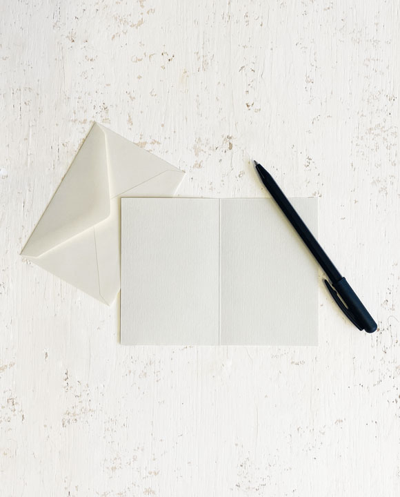 Helleboro bianco - verde