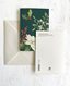 Card "Verde fiorito-Poinsezia"