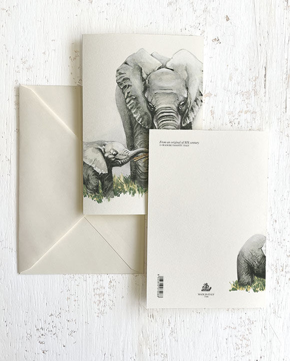 Card "Elefante"