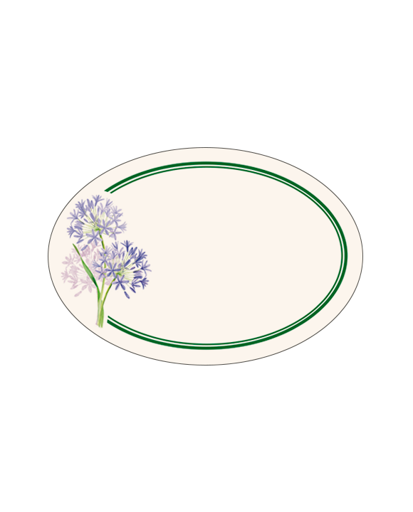 Aufkleber "Agapanthus"